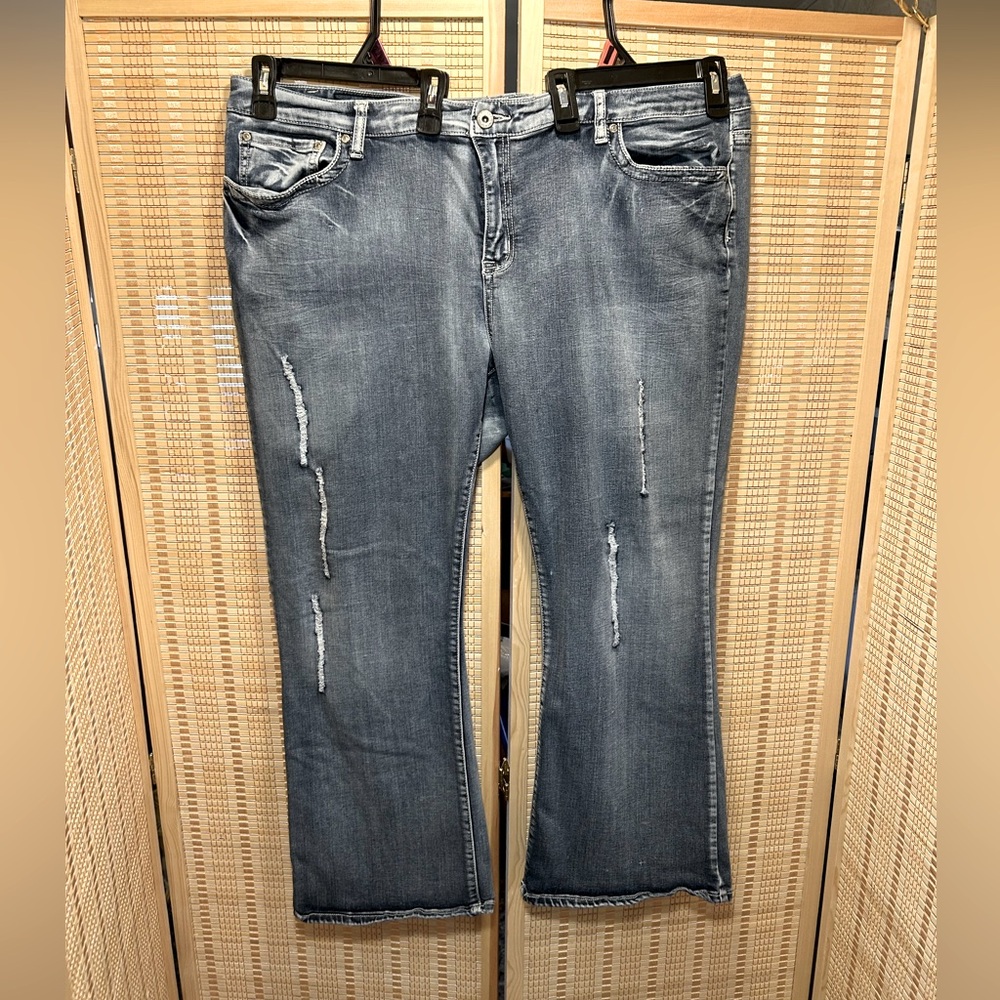 Firefly Denim BootCut Jeans Women’s